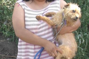 Todos los seres sintientes fueron llevados al Centro de Atención y Bienestar Animal de Coacalco