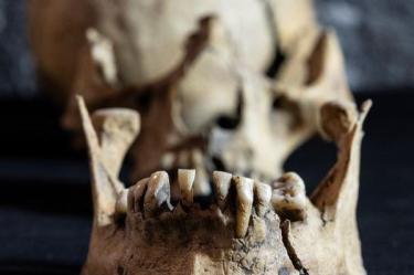 Alrededor de las obras se han recuperado materiales de culturas como la teotihuacana, tolteca y mexica.