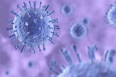 Controvertido científico crea cepa 'inmortal' de virus AH1N1