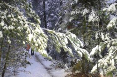 Aspecto de la nevada en la Mesa de Las Tablas