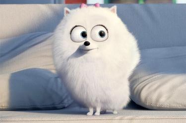 La película se estrenará el 8 de julio de 2016. (Universal Pictures)