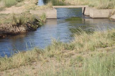 El accidente ocurrió en un canal de riego del municipio de Lázaro Cárdenas, Michoacán