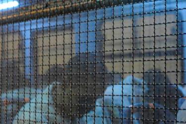 Tan sólo del penal federal número 14 mejor conocido como "El Amate" fueron reubicados 101 reos.