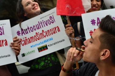 Diversos sectores de la sociedad capitalina han mostrado su apoyo a la producción personal de la mariguana. 