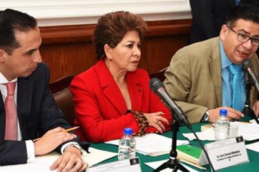 Sara Cuevas Villalobos es egresada de la Facultad de Derecho de la Universidad Nacional Autónoma de México (UNAM).