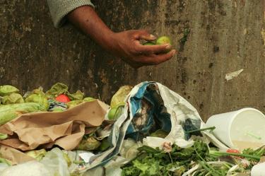 La administración capitalina contempla que en 10 años se erradique el desperdicio de alimentos. 