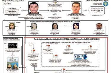 La estructura del grupo delictivo