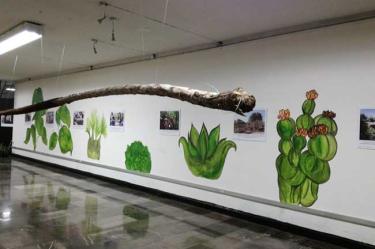 La exposición permanecerá 2 meses en la estación La Raza de las líneas 1 y 3 del Metro, con horario de las 9:00 a las 19:00 horas. Foto @MetroCDMX