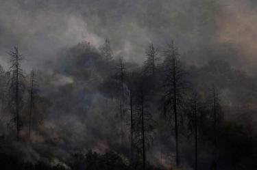 Apenas un 7 por ciento del incendio de Detwiler ha sido contenido 