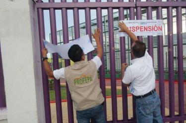 Se aseguraron 53 ejemplares, de los cuales 44 fueron por no acreditar la legal procedencia y 9 por faltas al trato digno y respetuoso. Foto Cortesía
