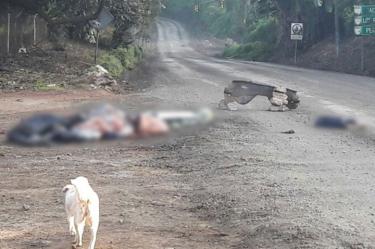 Los cuerpos desmembrados de 3 sujetos y una mujer fueron abandonados en la carretera Buenavista-Peribán, junto con un mensaje del crimen organizado.