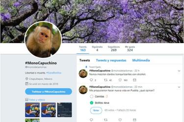 Aún no se sabe quien es el 'chistosito' detrás del perfil. Fotografía: MonodelasLomas