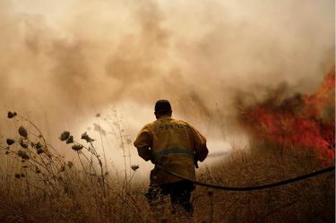 Medio Oriente, Israel, Palestina, Israelies, disparan, Gaza, Excelsior, Global, noticia