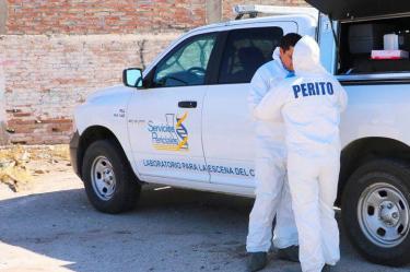 Peritos de la Procuraduría de Baja California 