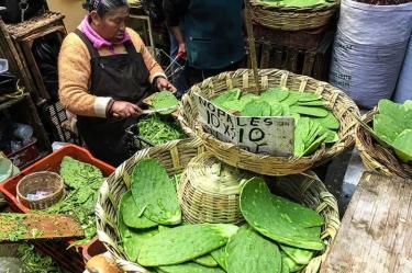 Sagarpa, Sexto Foro Internacional de Alimentos Sanos, Senasica, Comida, Países