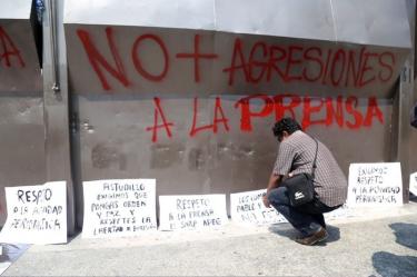 Proteccion Periodistas Coordinación Estados Federacion Amieva