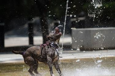 El calor no cede en el país; habrá hasta 50 grados este viernes. 