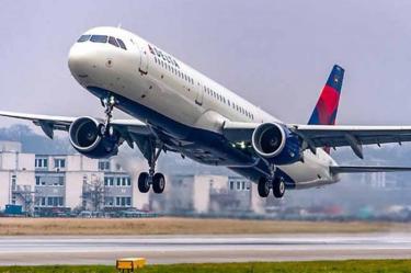 Muere un perro que era transportado por Delta Air Lines