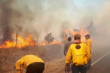 Incendio forestal, Arteaga, Coahuila, Seguridad, Sedena, Bomberos, Fuego, Llamas