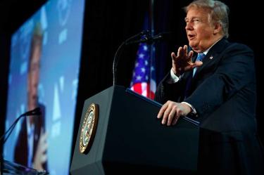 Migrantes, Inmigración, Donald Trump, Derechos humanos, Estados, Seguridad, Estados Unidos, ONU, SRE, México, El Salvador, Guatemala, Honduras