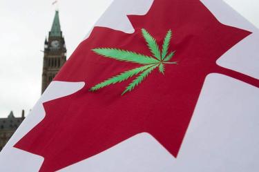 ONU critica a Canadá por legalización de mariguana