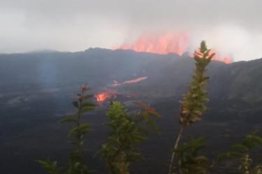 'Alerta amarilla' en zona de influencia por erupción de volcán en Galápagos