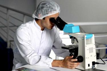 Becas, Científicos Mexicanos, Estancias de Verano, Estados Unidos, AMC, Academia Mexicana de Ciencias, Científicos jóvenes, Investigación, 