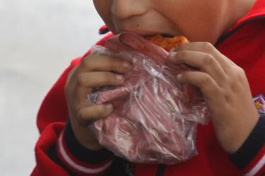 24.6 millones de mexicanos carecen de seguridad alimentaria: Coneval