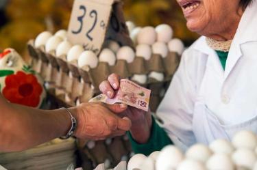 Canasta básica alimentaria, Economía, Alimentos, Salario mínimo, Coneval, Pobreza