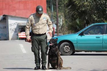 Por llamada anónima, rescatan a madre e hija plagiadas en Veracruz