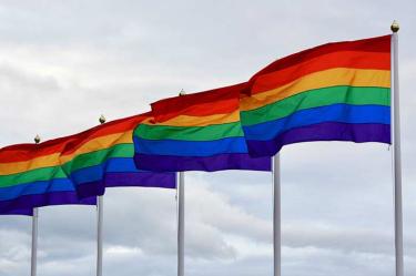 Mataba y desmembraba a gays; los escondía en macetas