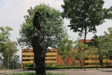 Lamenta Tec de Monterrey hallazgo de alumno muerto en campus Edomex