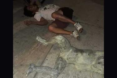 Hondureño intenta robar estatua y se le cae encima