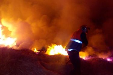 36 hectáreas afectadas por incendio en Xochimilco