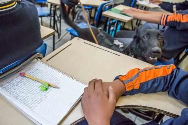 Detectan ‘cutting’ entre estudiantes de Atizapán 