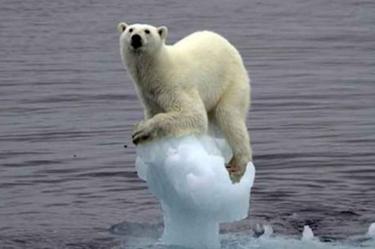 Cambio climático empeora y las soluciones son bajas: ONU