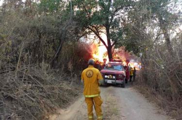 Suspenden clases en prepas de Jalisco por humo de incendios