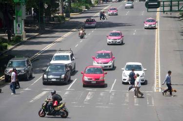 Automóviles con engomado rosa descansan este martes