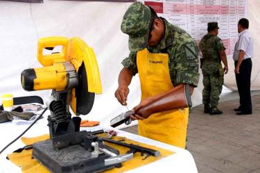 las cuales fueron revisadas por expertos de la Sedena