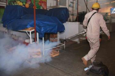mosquito, dengue, zika, chinkungunya, Oaxaca, fumigaciones