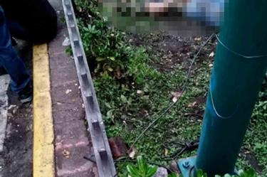 Bar 'Híbrido', abierto a una semana de asesinato de joven 