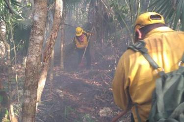Controlan en un 55% incendio en reserva de Sian Ka'an, en QRoo
