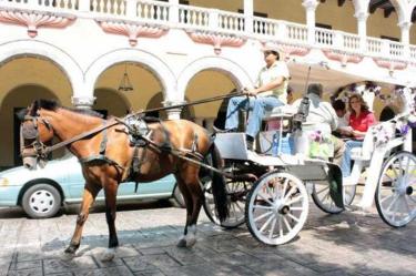 Diputado en Yucatán busca eliminar carruajes para turismo
