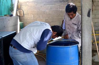 Muere niño por probable contagio de dengue en Oaxaca