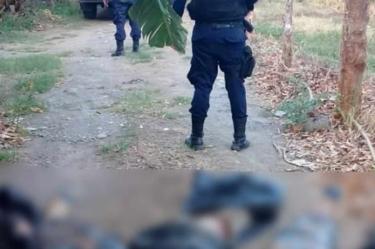 Hallan nueve cuerpos embolsados en Veracruz 