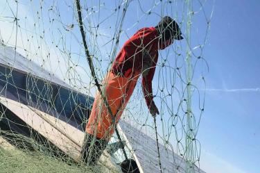 Regresar al mar o compensaciones: pescadores en hábitat de vaquita marina