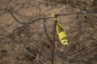 Hallan fosa clandestina en Celaya 