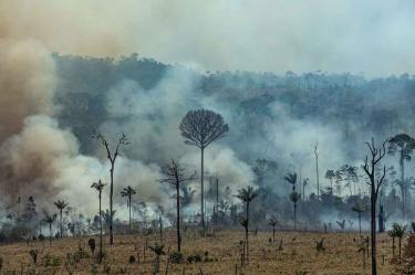 Fotos: AFP, AP y Reuters