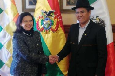 Bolivia, Evo Morales, Presidencia, Gobierno de México, Andrés Manuel López Obrador, Secretaría de Relaciones Exteriores, Elecciones, Manifestaciones, Seguridad, Justicia, OEA, Estados Unidos, Fraude electoral, Voto