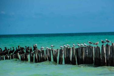 Pese a fallo judicial, Isla Grande de Holbox no queda desprotegida: Semarnat